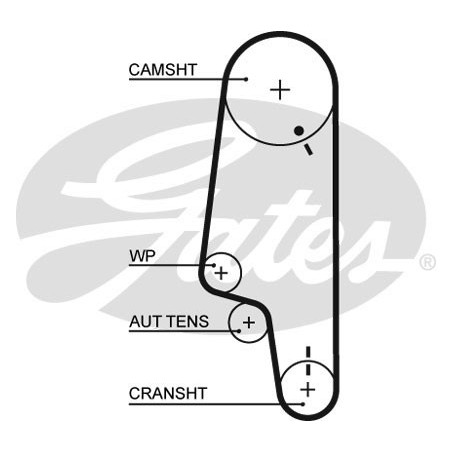 Skirstymo diržas Gates 5428XS