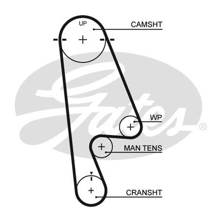 Skirstymo diržas Gates 5480XS