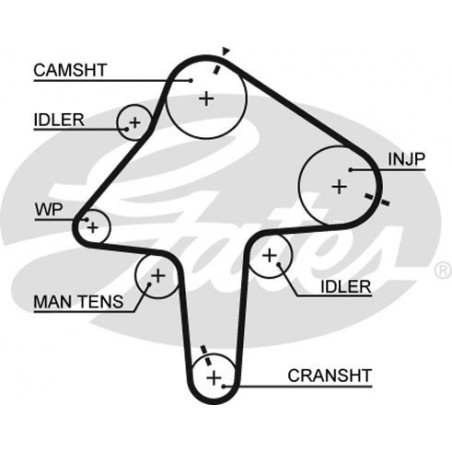 Skirstymo diržas Gates 5482XS