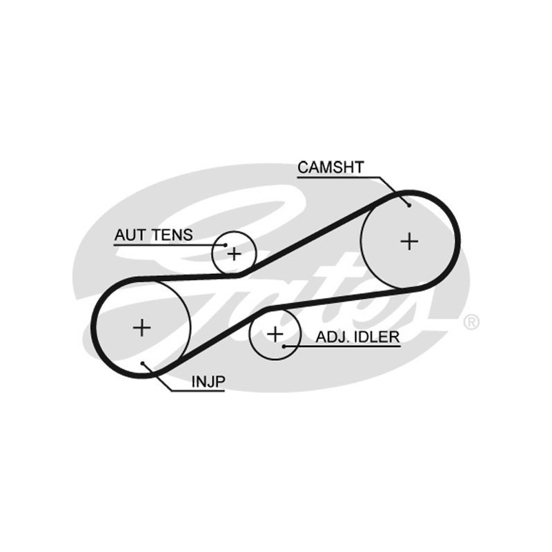 Skirstymo diržas Gates 5494XS