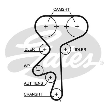 Skirstymo diržas Gates 5499XS