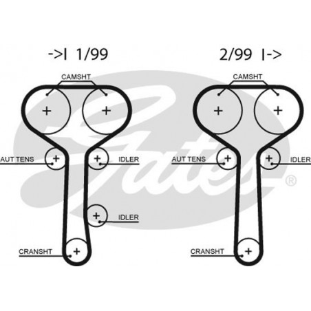 Skirstymo diržas Gates 5508XS