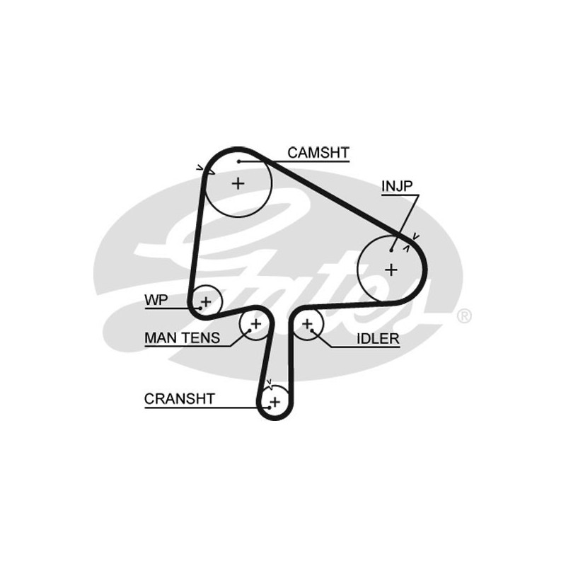Skirstymo diržas Gates 5510XS