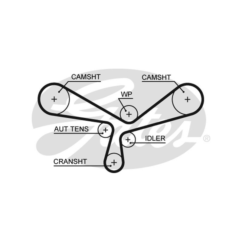 Skirstymo diržas Gates 5520XS