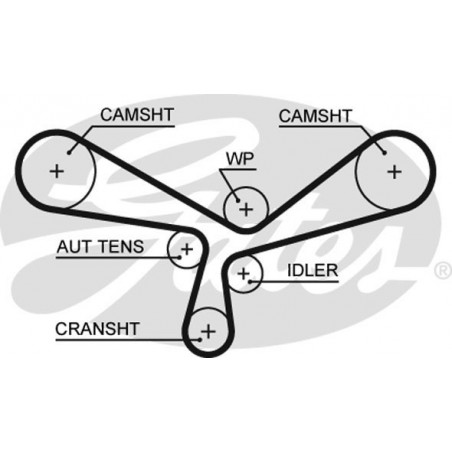Skirstymo diržas Gates 5520XS