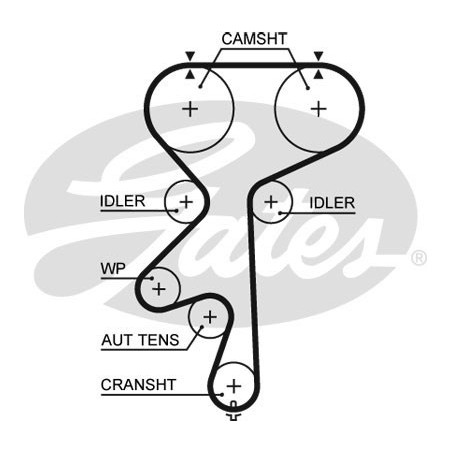 Skirstymo diržas Gates 5542XS