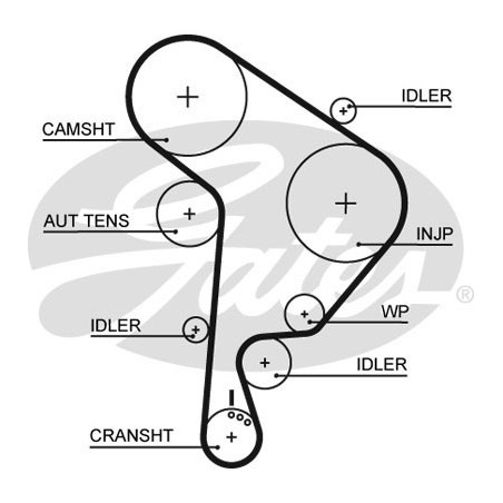 Skirstymo diržas Gates 5543XS