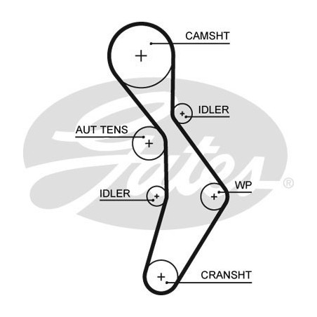 Skirstymo diržas Gates 5604XS