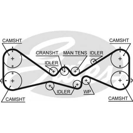 Skirstymo diržas Gates 5612XS