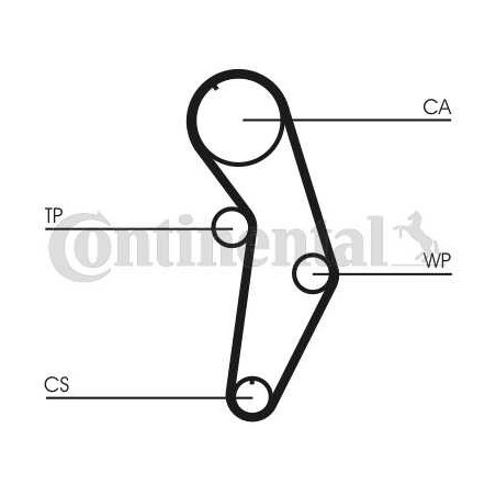 CT908WP1 montavimo schema