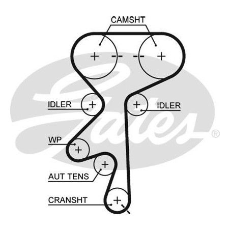 Skirstymo diržas Gates 5369XS