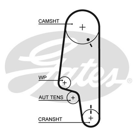 Skirstymo diržas Gates 5427XS