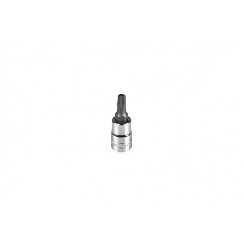 Torx TX20 antgalio galvutė